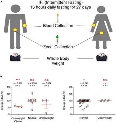 Intermittent fasting positively modulates human gut microbial diversity and ameliorates blood lipid profile